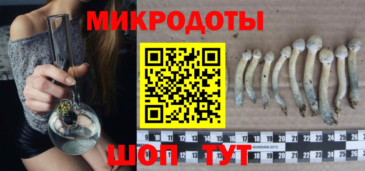 Галлюциногенные грибы Cubensis Симферополь
